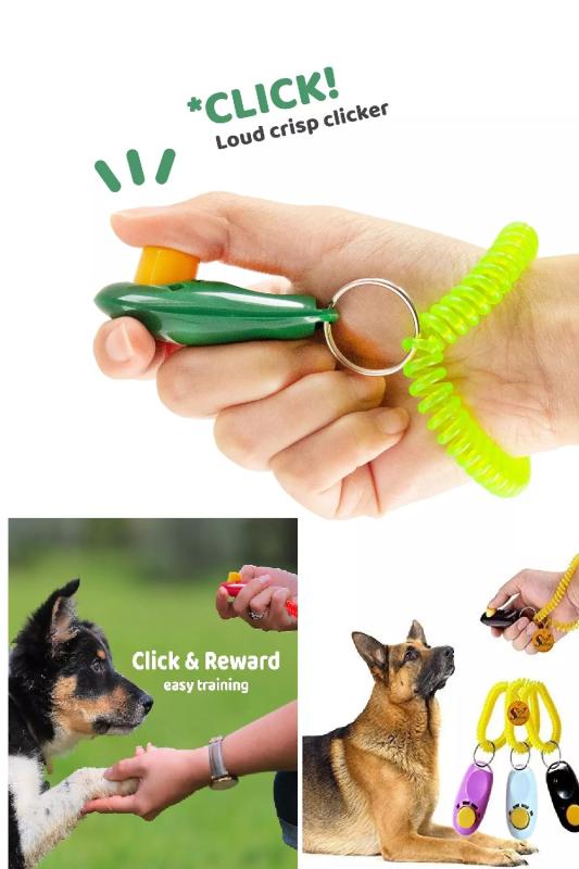 1 Adet Evcil Hayvan Eğitim Düğmesi Taşınabilir Ses Düğmesi Pet Training Clicker
