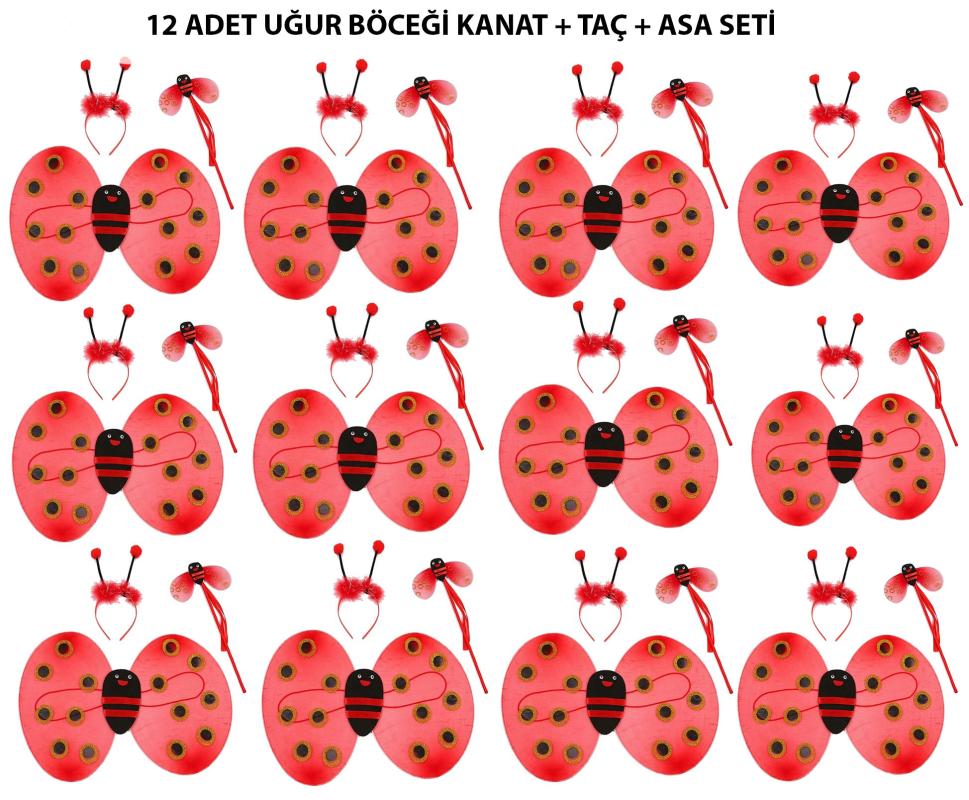 Uğur Böceği Kostüm Seti - Kanat, Taç, Asa 12 Adet