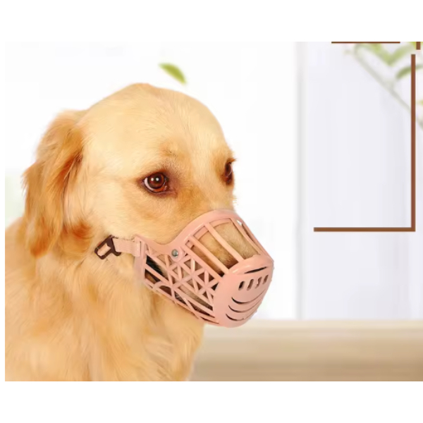 Köpek Koruma Ağızlığı 7’li Set