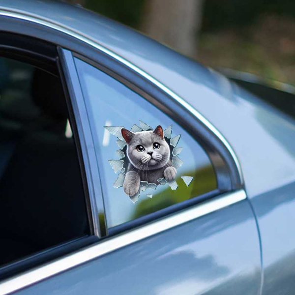 Fulcar Kedi Tasarımlı Araç Stickerı