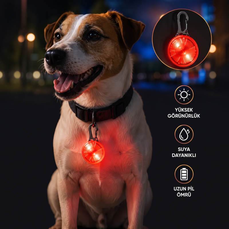 Evcil Hayvan Işıklı LED Tasma Aparatı - Suya Dayanıklı - Uzun Pil Ömrü