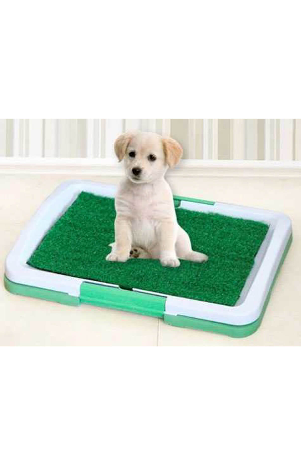 Yavru Köpek Tuvalet Eğitim Seti