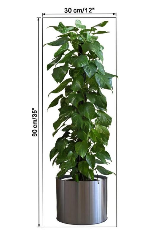 Dekoratif Saksılı Bitki Tasarımlı Yapışkan Sticker 90 x 30 cm