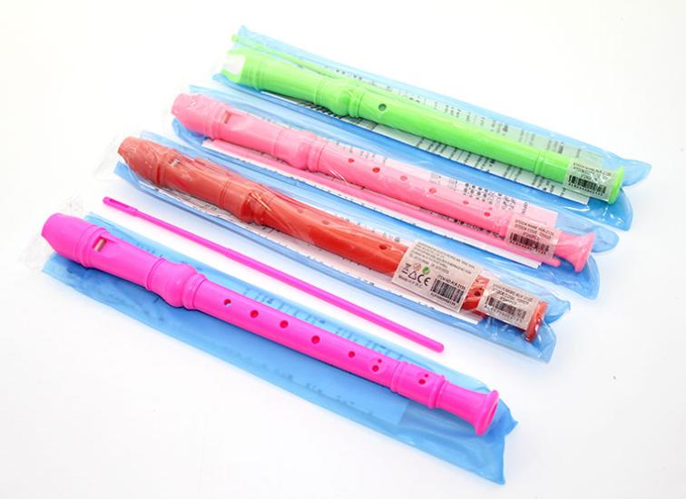 Renkli Plastik Flüt