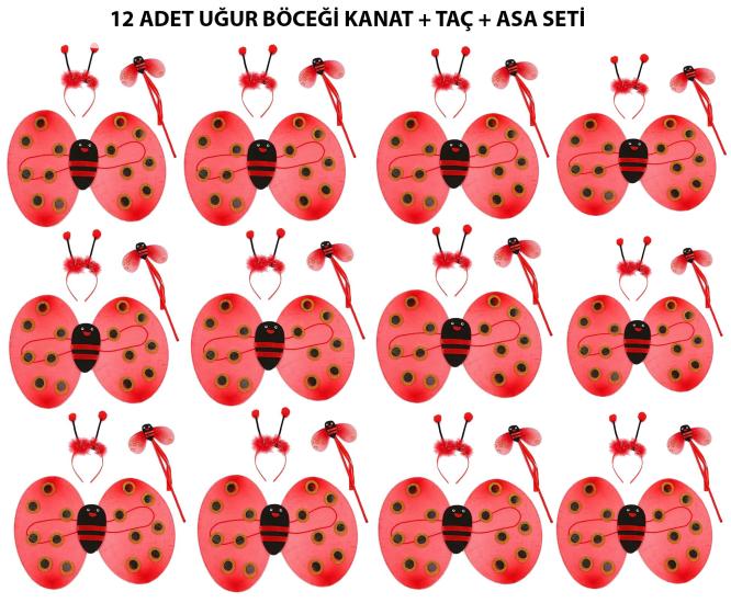 Uğur Böceği Kostüm Seti - Kanat, Taç, Asa 12 Adet