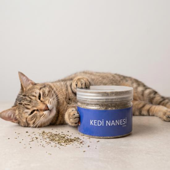 Doğal Kedi Nanesi (Catnip) - 250 ml Kavanoz - Eğlenceli ve Doğal