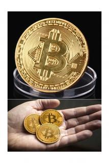 Biterse BitCoin Madeni Hediyelik Sanal Hatıra Parası