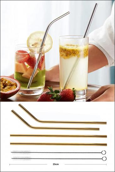 Biterse 4 lü Paslanmaz Çelik Pipet + Temizleme Fırçası