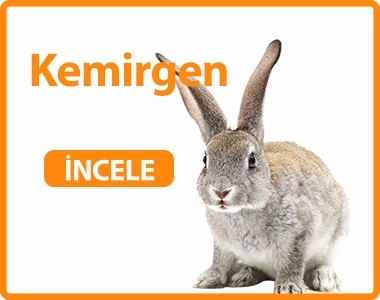 Kemirgen Ürünleri