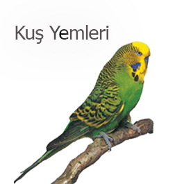 Kuş Ürünleri