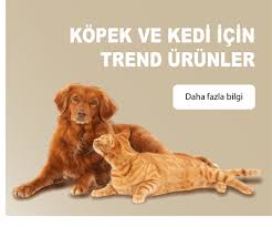 Pet Shop